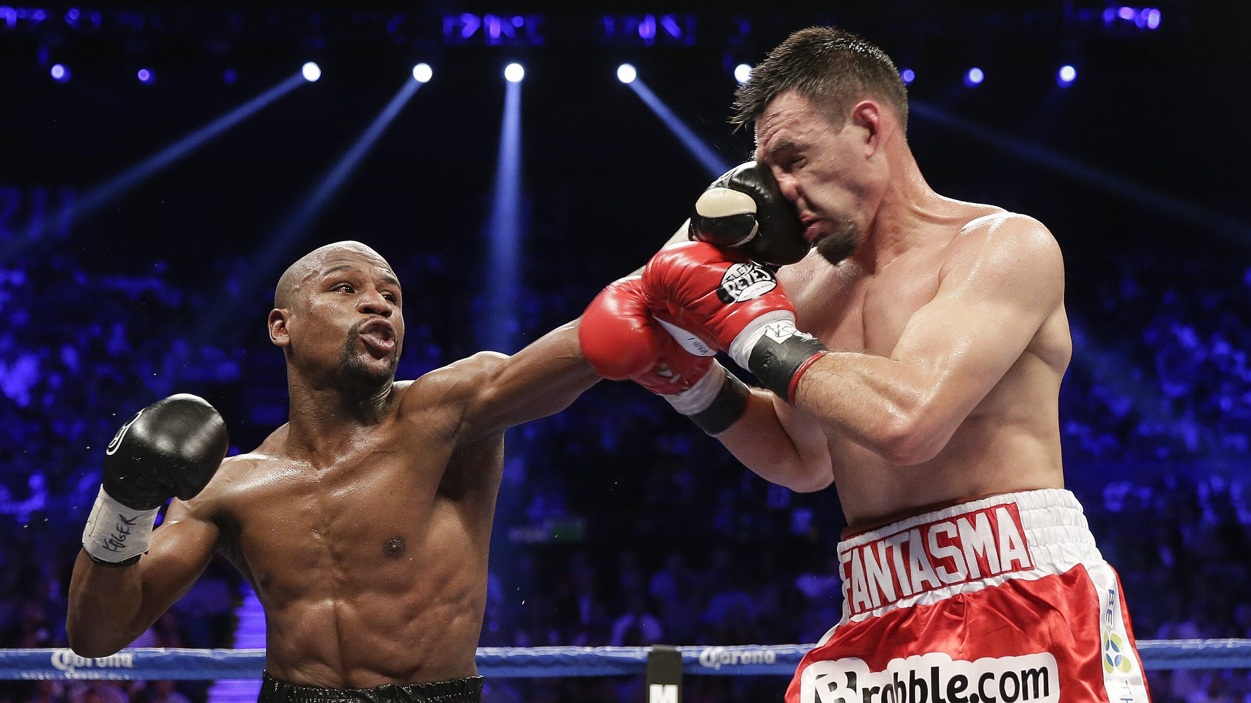 橄榄球冠军锦标赛南半球对决，四强势力鼎立，2020年橄榄球锦标赛